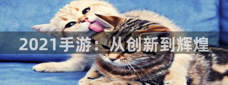 三牛娱乐测速系统：2021手游：从创新到辉煌
