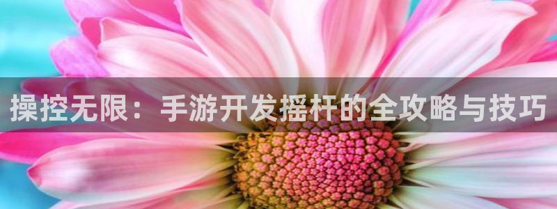三牛娱乐负责人：操控无限：手游开发摇杆的全攻略与技巧