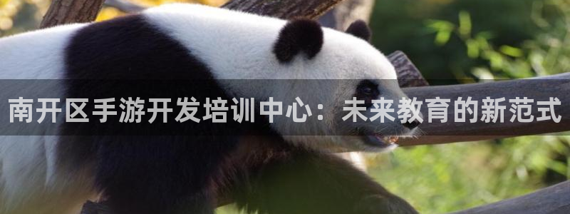 三牛娱乐哪里去了：南开区手游开发培训中心：未来教育的新范式