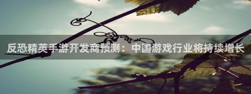 三牛娱乐哪里去了：反恐精英手游开发商预测：中国游戏行业将持续