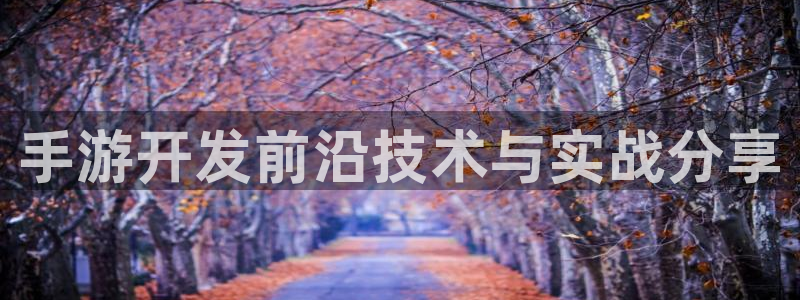 三牛娱乐管网怎么样：手游开发前沿技术与实战分享