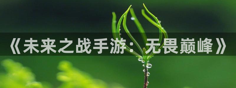三牛娱乐管网：《未来之战手游：无畏巅峰》