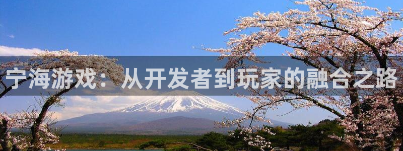 三牛娱乐挂机：宁海游戏：从开发者到玩家的融合之路