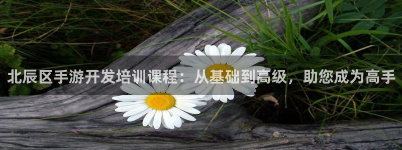 江苏三牛：北辰区手游开发培训课程：从基础到高级，助您成为高手