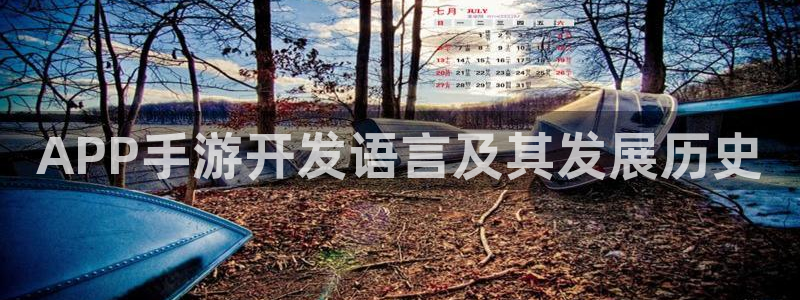 三牛娱乐管网怎么样：APP手游开发语言及其发展历史