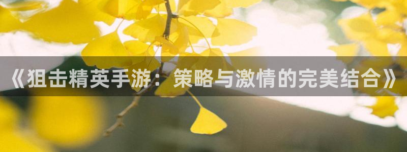 三牛娱乐管网：《狙击精英手游：策略与激情的完美结合》