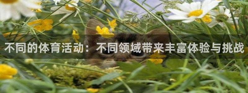 菲律宾ug环球官网