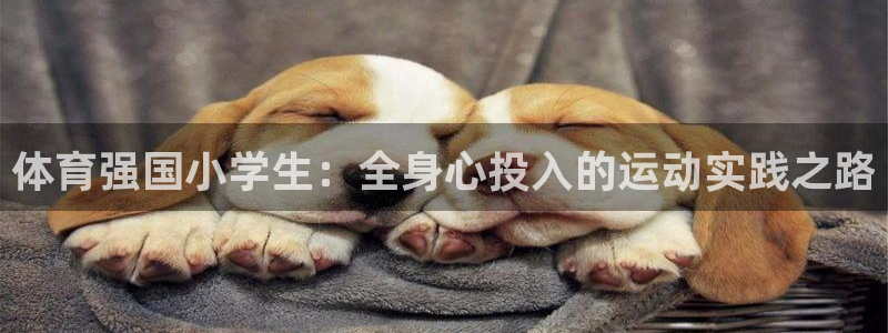 ug环球官网注册