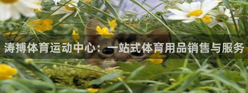 ug环球官网注册