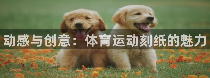 ug环球官网注册