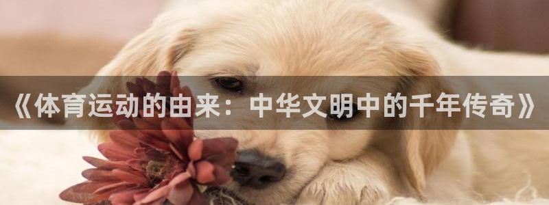 ug环球官网登录入口